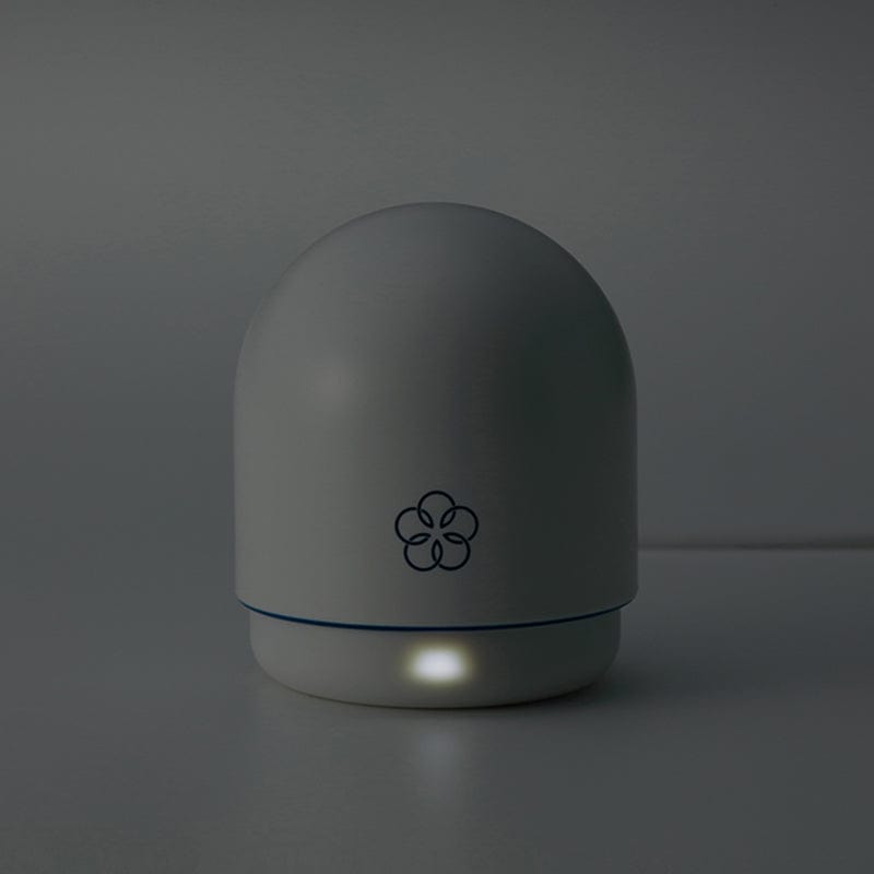 Tenga Vibrators Iroha Temari Hana