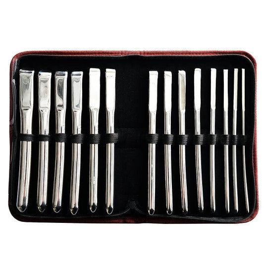 Rouge Fetish Stainless Steel Hegar Uterine 14 Piece Dilator Set