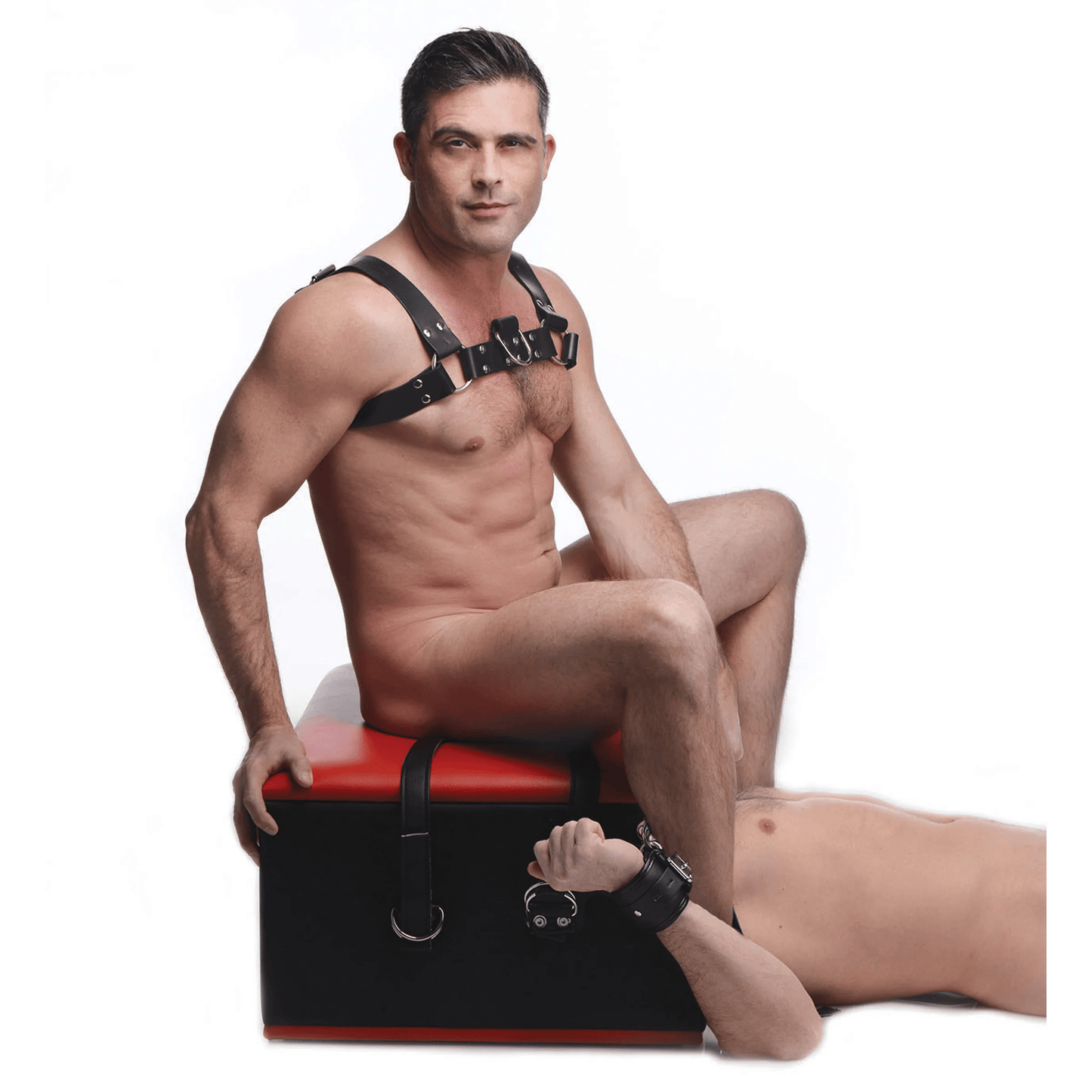 Master Series Sex Furniture Master Series Queening Chair