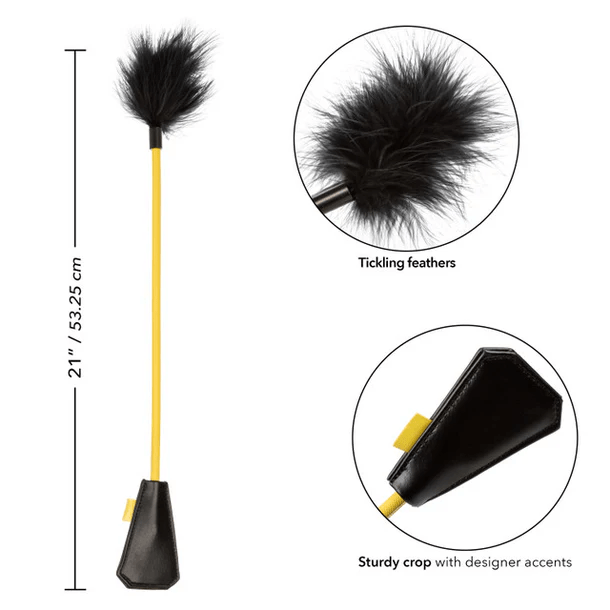 CALEXOTICS BDSM Calexotics Boundless Feather Crop