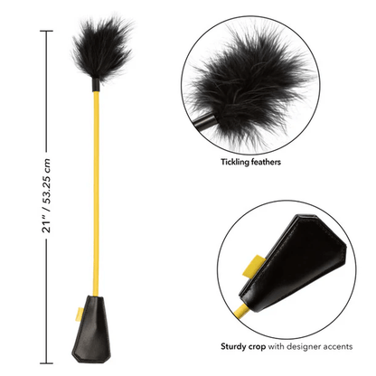 CALEXOTICS BDSM Calexotics Boundless Feather Crop