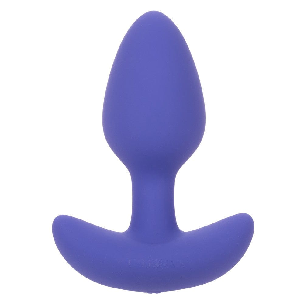 CALEXOTICS Anal Toys Calexotics Connect Tapered Vibrating Probe