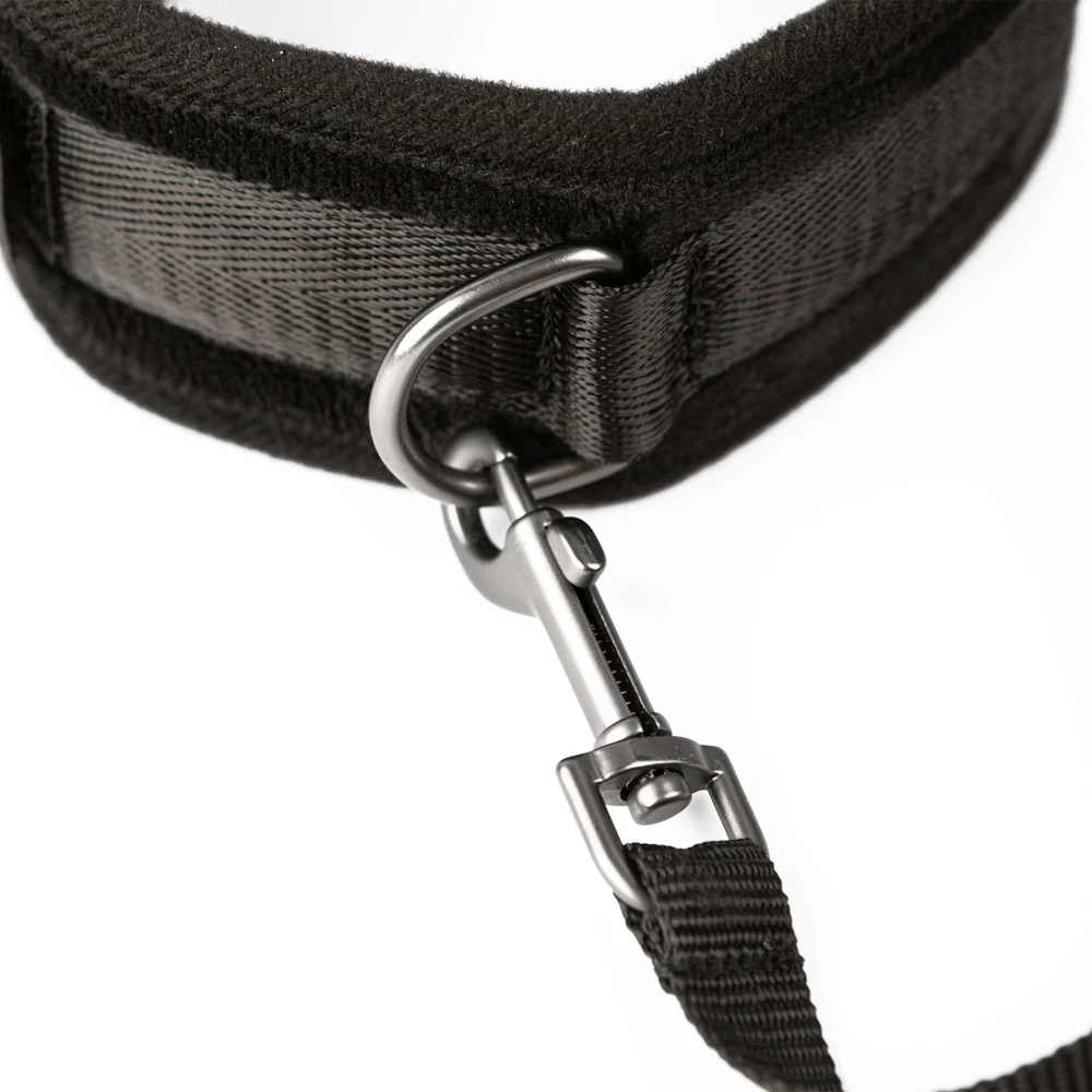 Creative Conceptions BDSM Creative Conceptions Sei Mio Take the Lead Padded Neck Collar and Leash