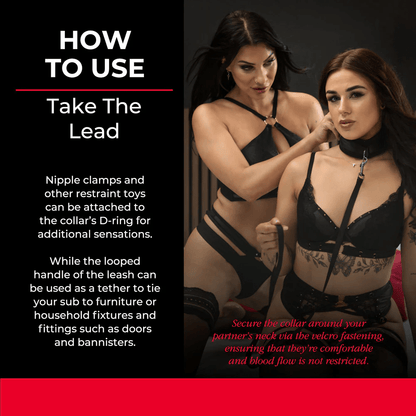 Creative Conceptions BDSM Creative Conceptions Sei Mio Take the Lead Padded Neck Collar and Leash