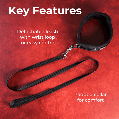 Creative Conceptions BDSM Creative Conceptions Sei Mio Take the Lead Padded Neck Collar and Leash