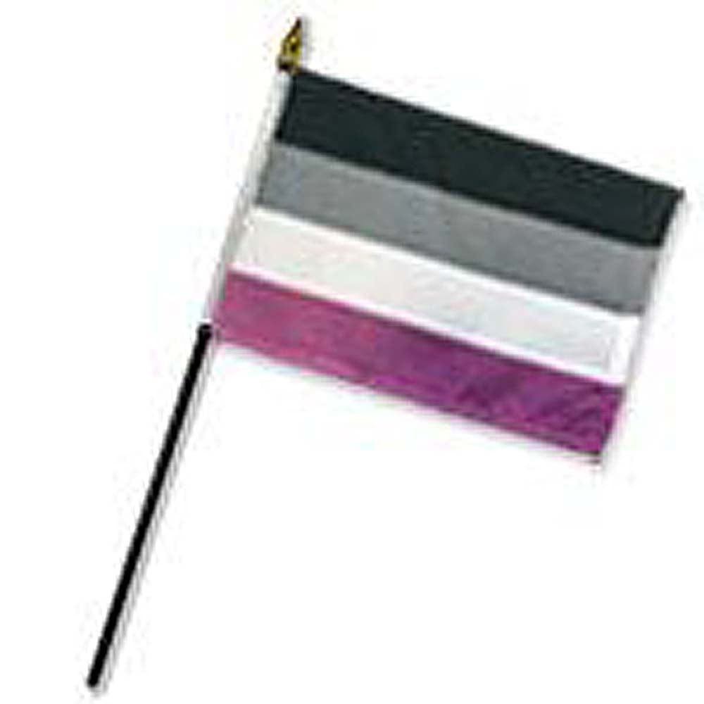 Flags Importer Pride Flags Flags Importer 4"x 6" Asexual Stick Pride Flag