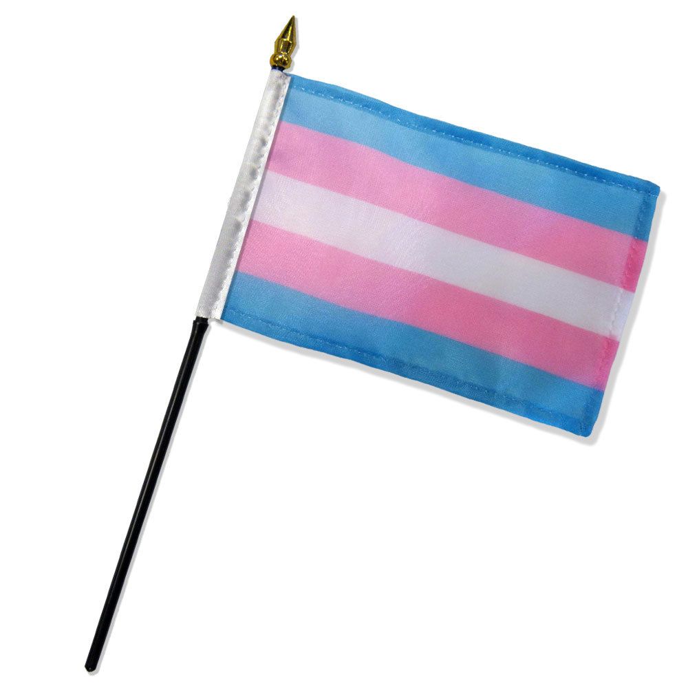 Flags Importer Pride Flags Flags Importer 4" x 6" Transgender Stick Pride Flag