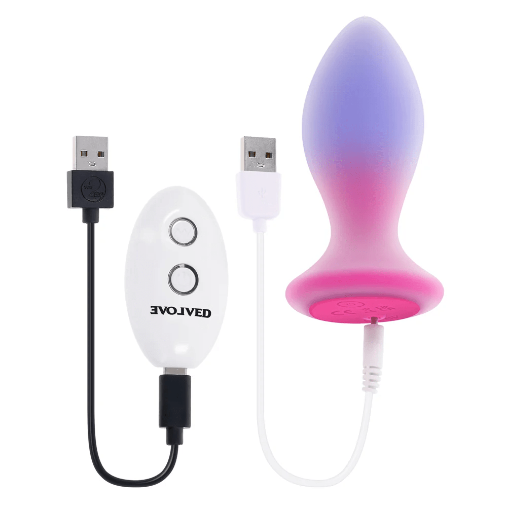 Evolved Anal Toys Evolved Paradise Plug with Remote Control