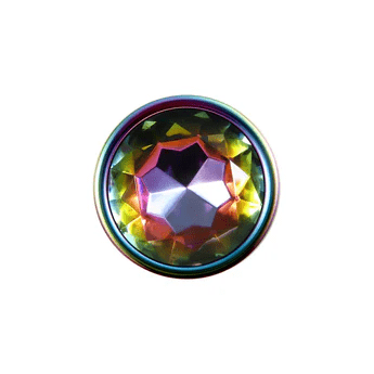 Evolved Butt Plugs Evolved Rainbow Metal Plug