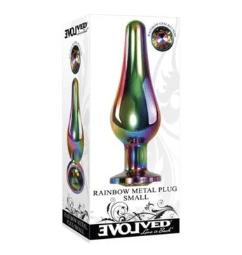 Evolved Butt Plugs Small Evolved Rainbow Metal Plug