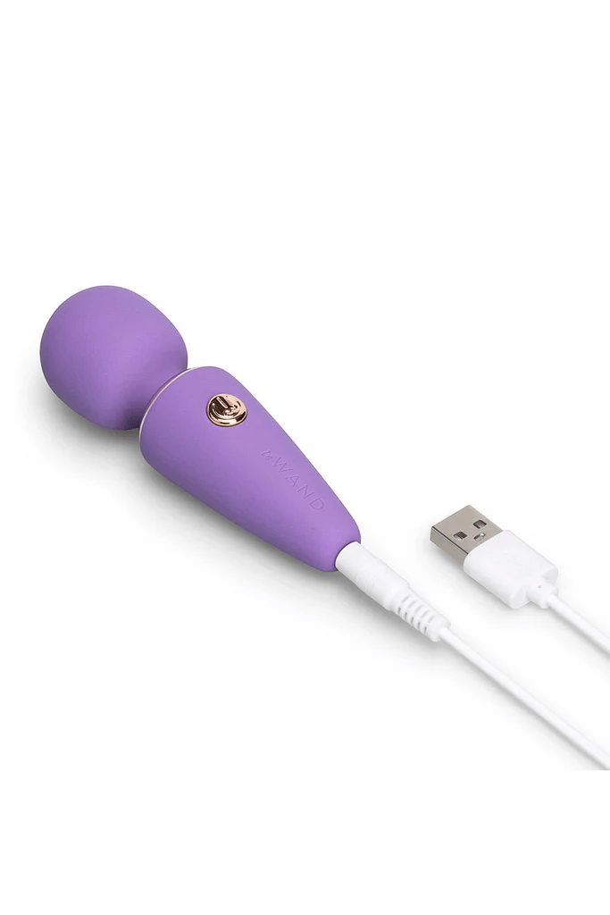Le Wand Wand Massagers Le Wand Mini Vibe MicroWand