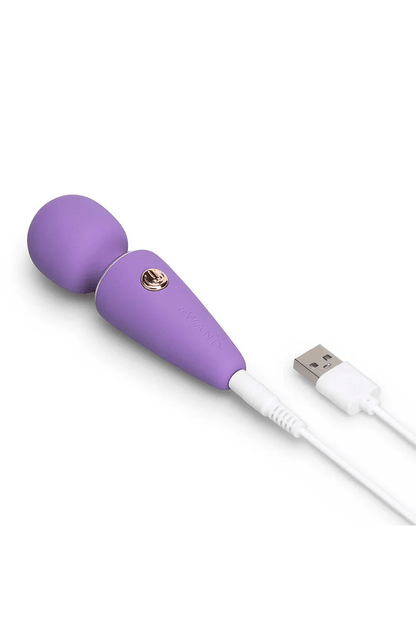Le Wand Wand Massagers Le Wand Mini Vibe MicroWand