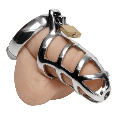 Master Series Chastity Device Master Series Detained Stainless Steel Chastity Cock Cage
