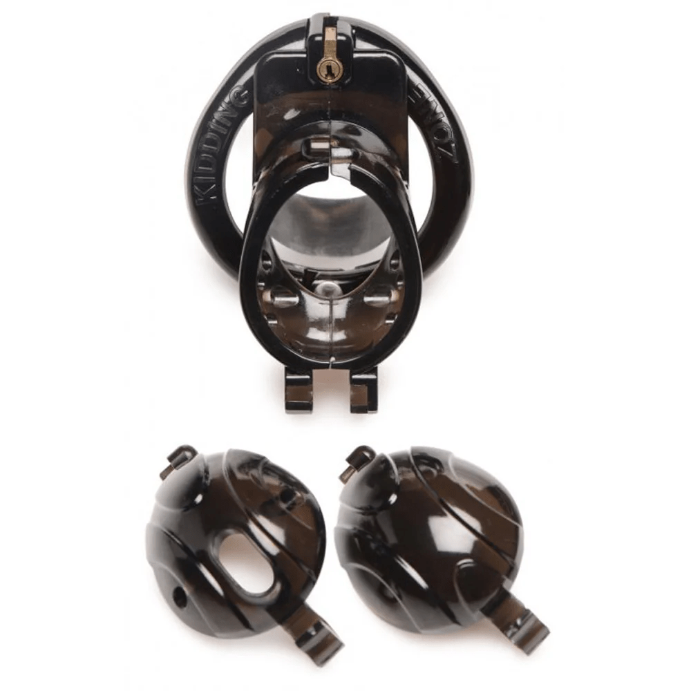 Master Series Chastity Device Master Series Double Lockdown Locking Customizable Chastity Cage