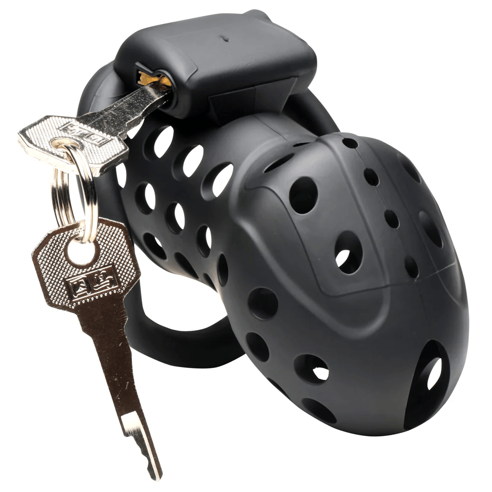 Master Series Chastity Device Master Series Lock Down Chastity Cage