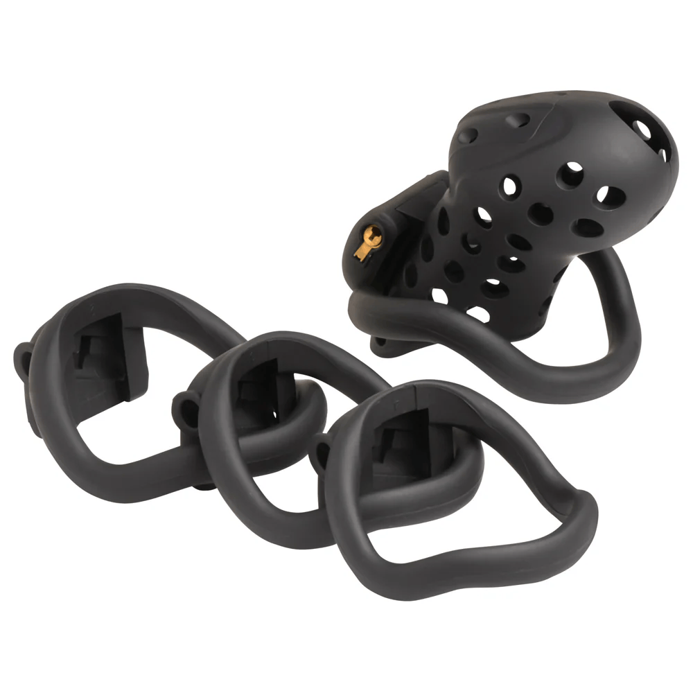 Master Series Chastity Device Master Series Lock Down Chastity Cage