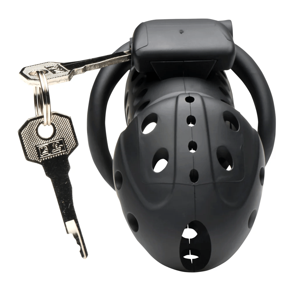 Master Series Chastity Device Master Series Lock Down Chastity Cage