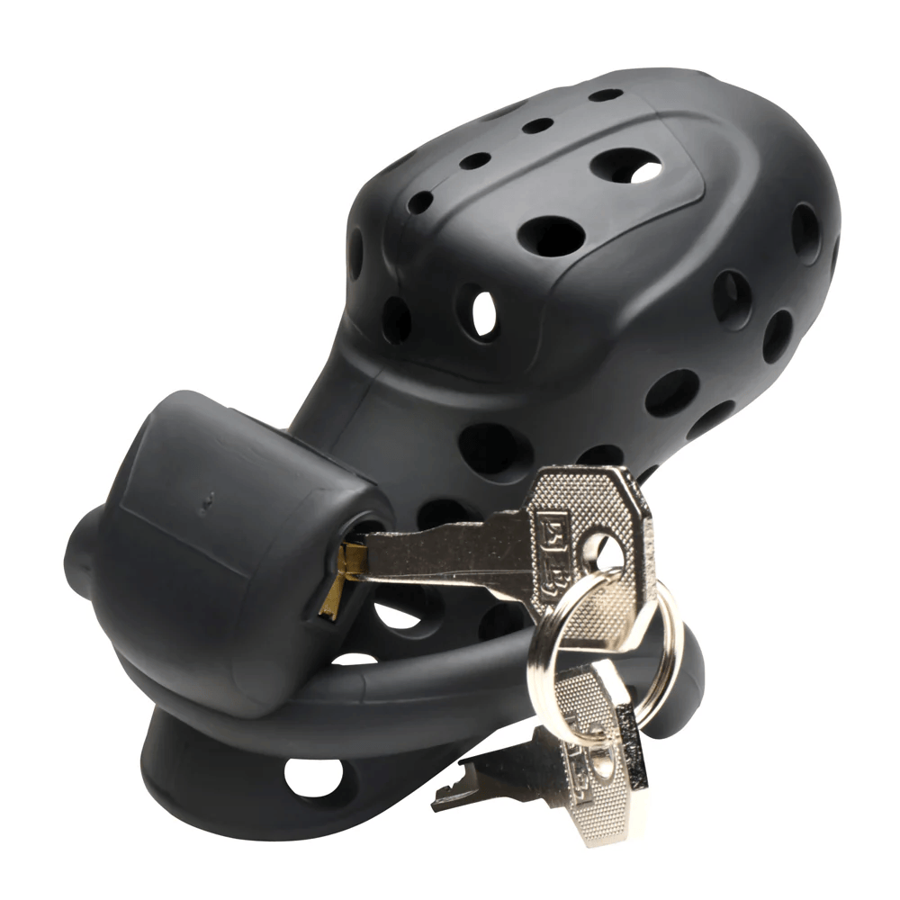 Master Series Chastity Device Master Series Lock Down Chastity Cage