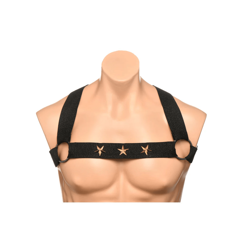 Master Series Harness Master Series Rave Harness Elastic Chest Harness with Arm Bands