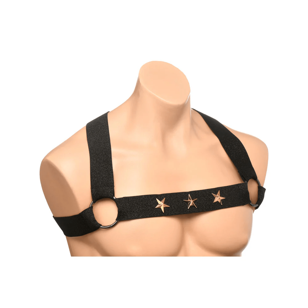 Master Series Harness Master Series Rave Harness Elastic Chest Harness with Arm Bands