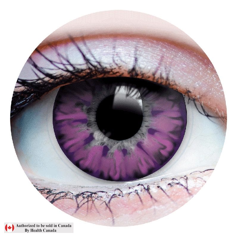 Primal Contacts Accessories Primal Enchanted Lilac Colored Contact Lenses