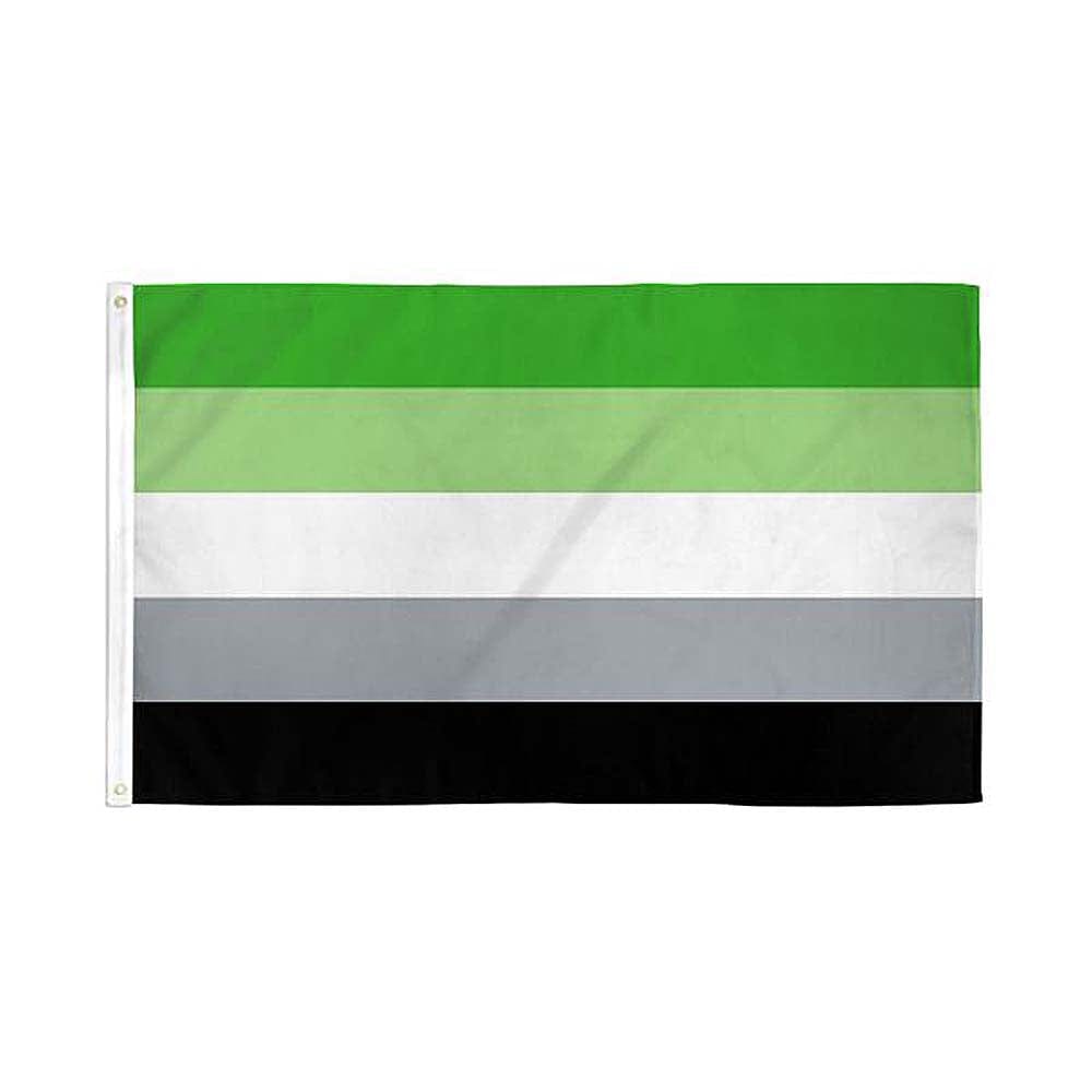 Flags Importer Pride Flags Flags Importer 3' x 5' Aromantic Pride Flag
