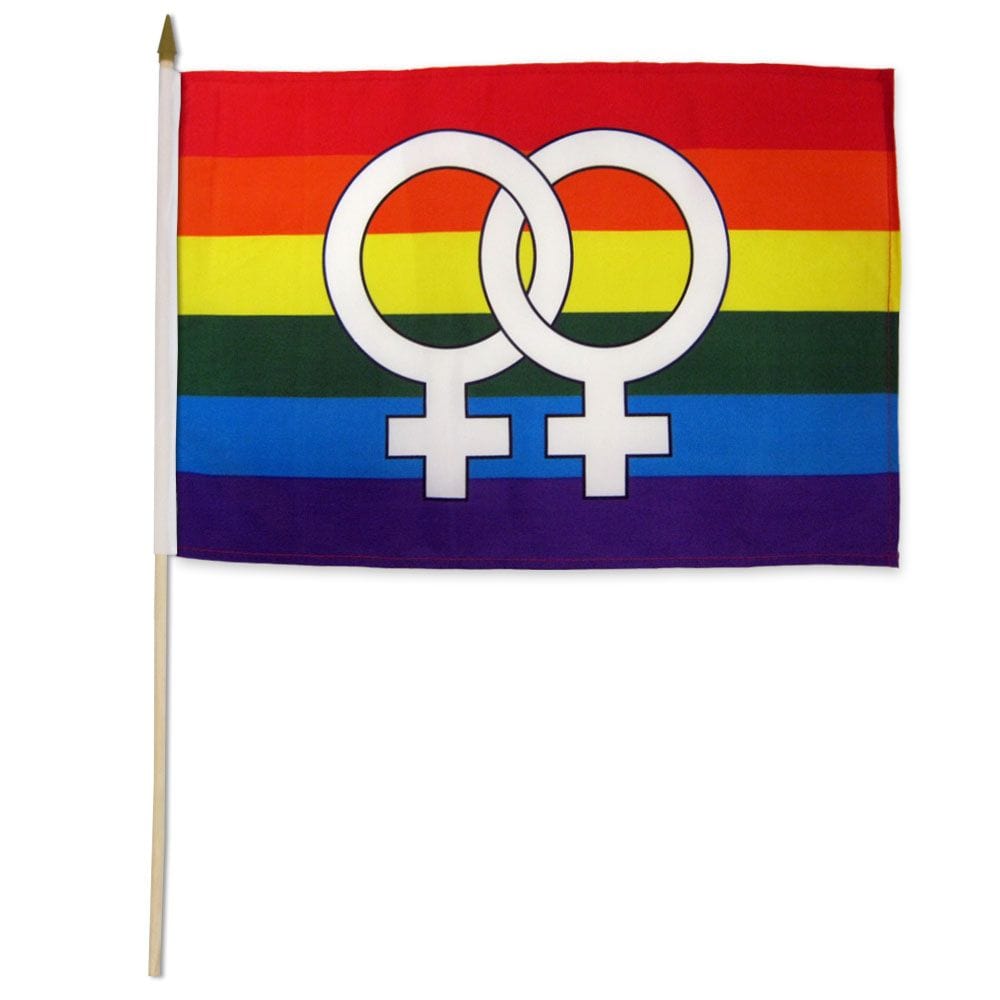 Flags Importer Pride Flags Flags Importer 12" x 18" Double Venus Stick Pride Flag