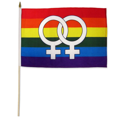Flags Importer Pride Flags Flags Importer 12" x 18" Double Venus Stick Pride Flag