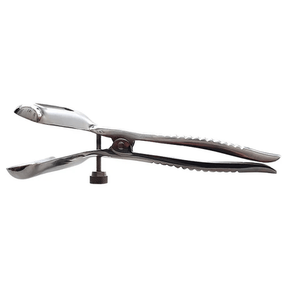 Rouge Fetish Rouge Stainless Steel Anal Speculum