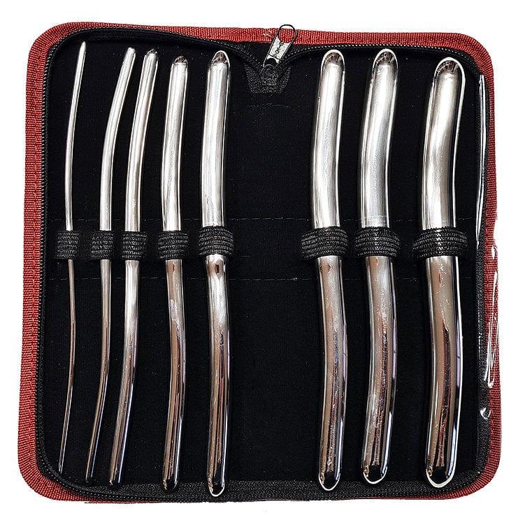 Rouge Fetish Stainless Steel 8 Piece Hegar Dilator Set