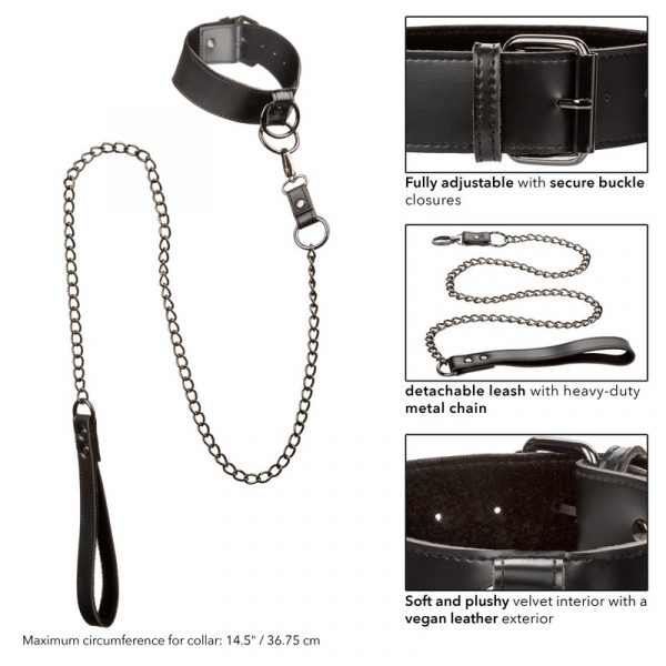 Euphoria Collection Collar with Chain Leash - XOXTOYS