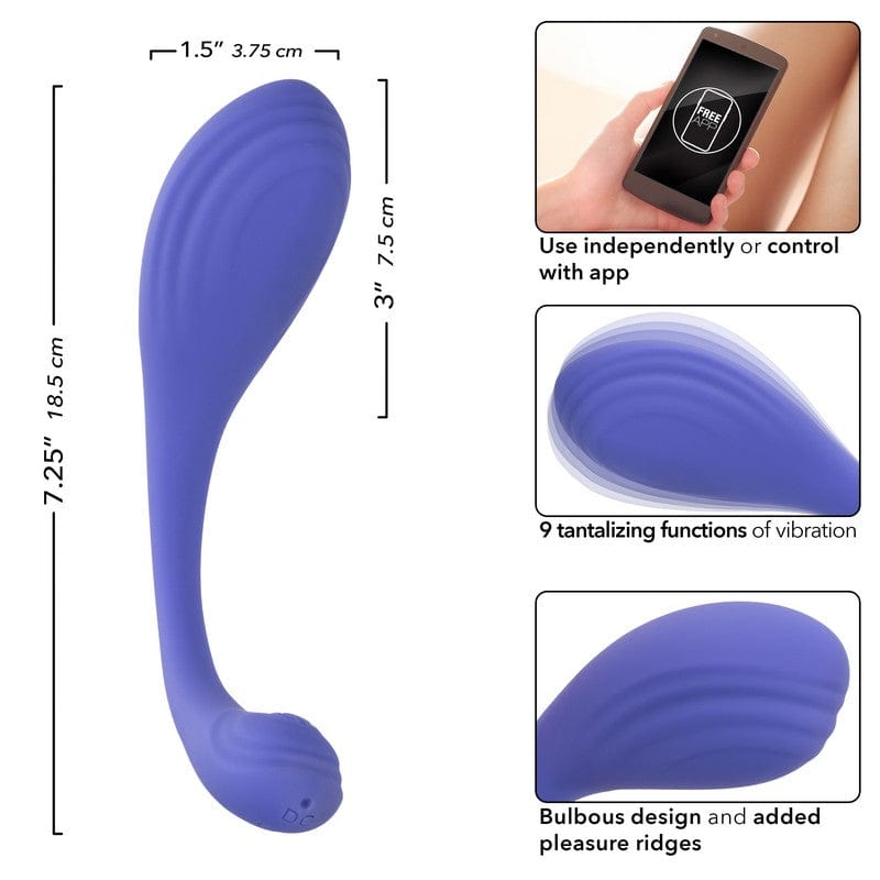 CALEXOTICS Kegel Toys Calexotics Connect Kegel Exerciser