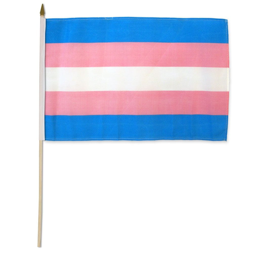 Flags Importer Pride Flags Flags Importer 12" x 18" Transgender Stick Pride Flag