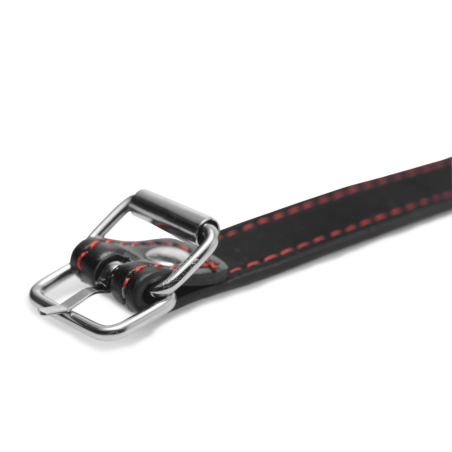 XR Brands Fetish XR Brands Master Series Hounds Dog Bone Gag