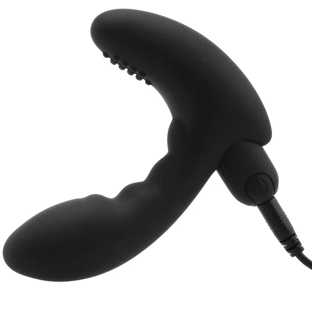Zero Tolerance Prostate Massager Zero Tolerance Eternal Rechargeable P Spot Vibe
