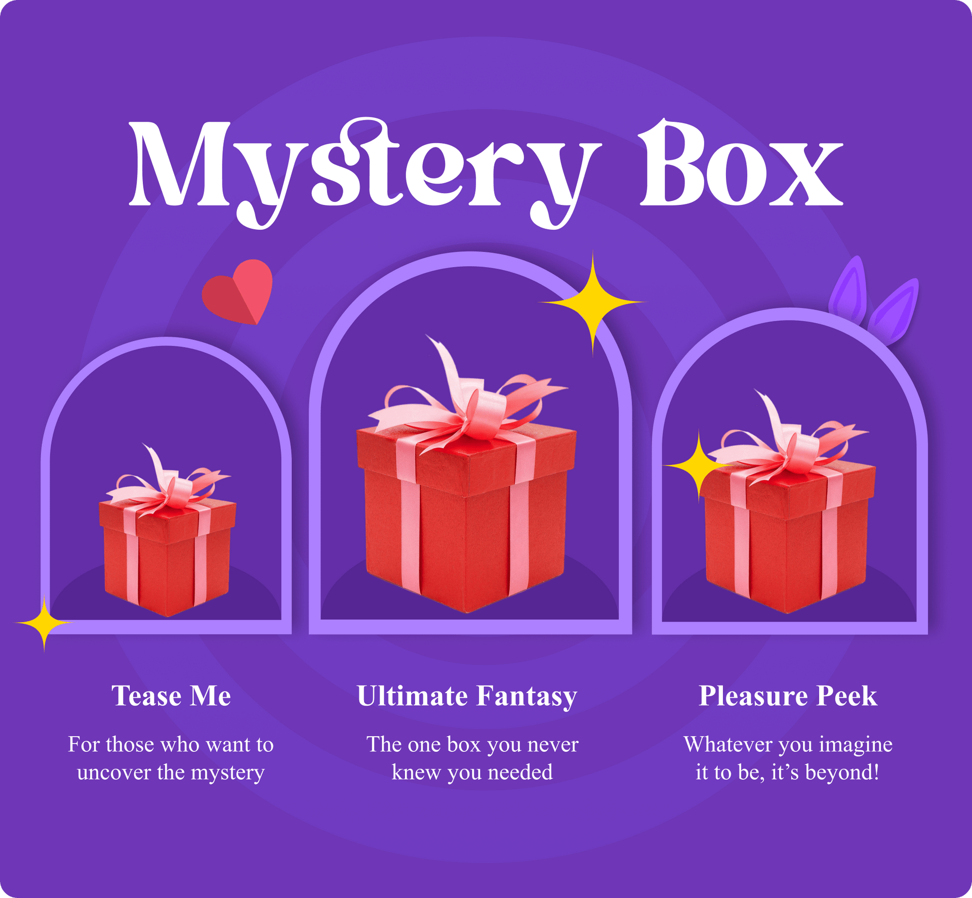 Exciting Erotic Mystery Box for Couples & Solo Play – XOXTOYS