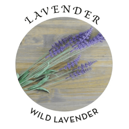 Earthly Body Massage Oil Earthly Body Hemp Seed Massage Oil Lavender Scent