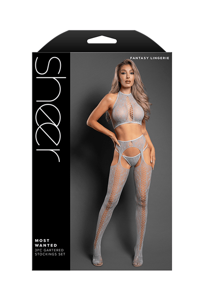 Fantasy Lingerie Lingerie One Size Fantasy Lingerie Sheer Most Wanted 3-Piece Gartered Stockings Set