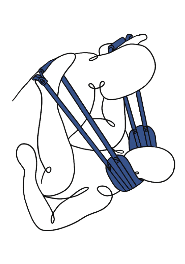 Sportsheets Bondage & Fetish Sportsheets Pivot Deluxe Doggie Strap