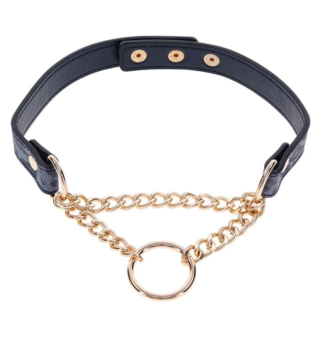 Sportsheets BDSM Sportsheets Sex & Mischief Cougar Day Collar