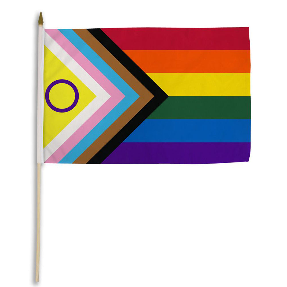 Flags Importer 12" x 18" Inclusive Pride Stick Flag - XOXTOYS