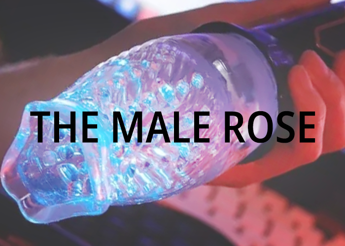 The Male Rose
