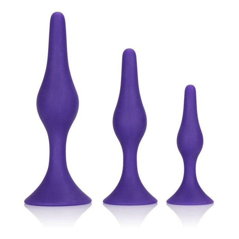 CALEXOTICS Anal Toys Calexotics Booty Call Booty Trainer Kit Purple