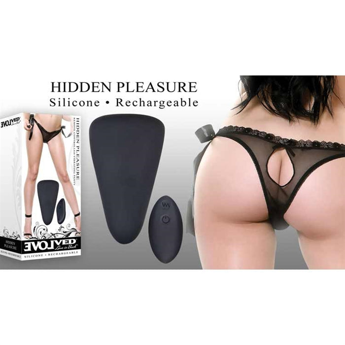 Evolved Hidden Pleasure Remote Panty Vibrator - XOXTOYS