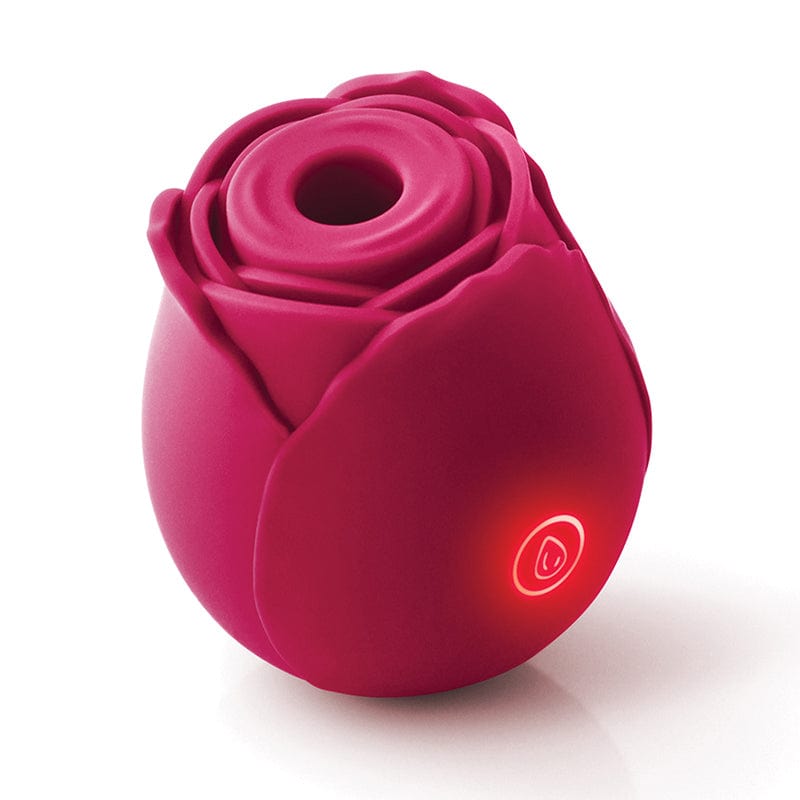 Elevate Your Intimate Moments with NS Novelties Inya The Rose