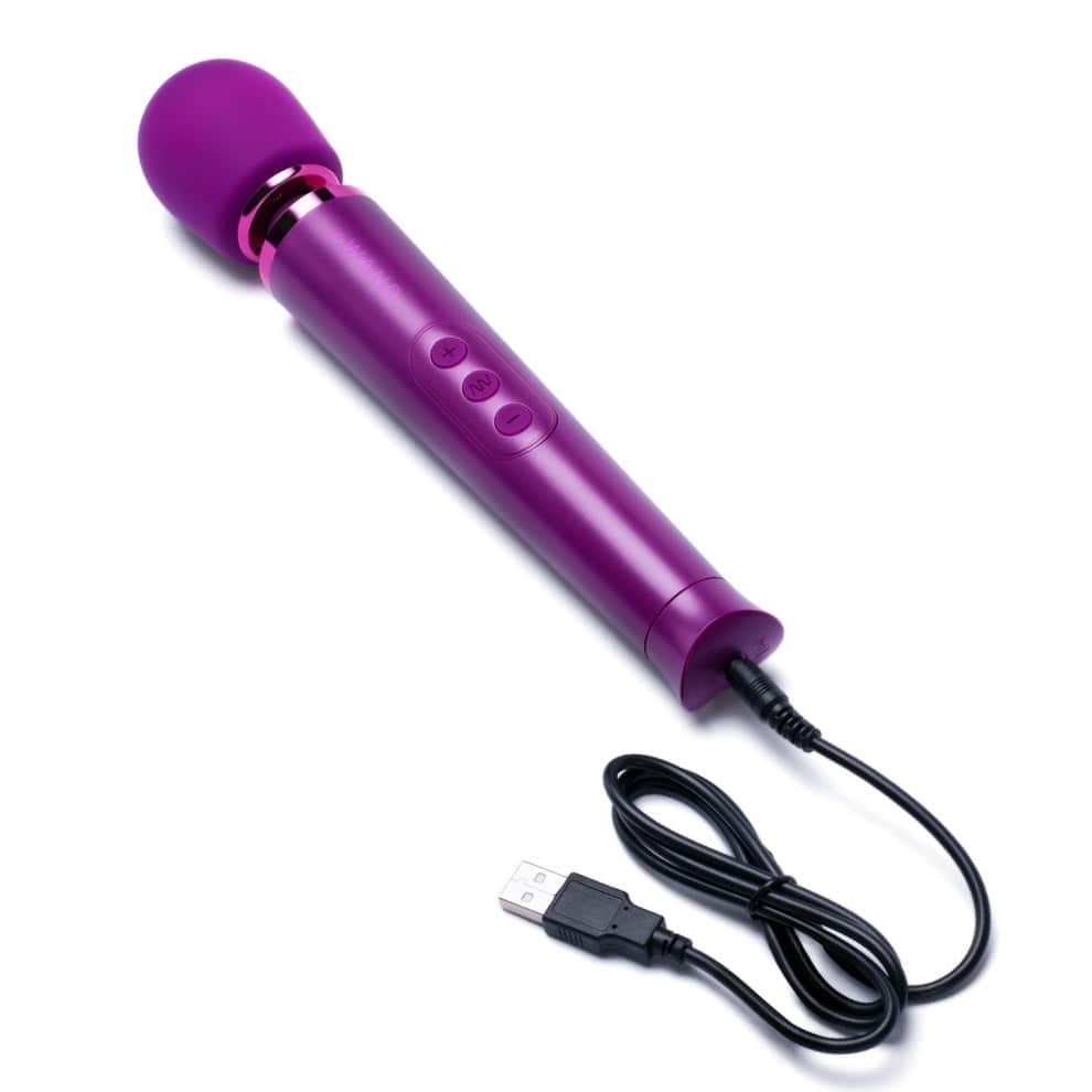 Le Wand Vibrators Le Wand Petite Rechargeable Massager