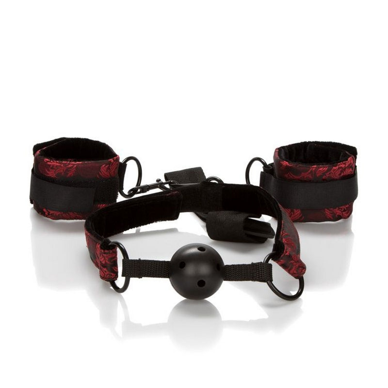 Calexotics Scandal Breathable Ball Gag with Cuffs - XOXTOYS