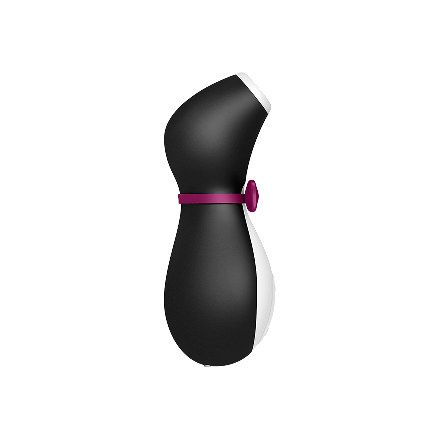 Satisfyer Penguin Air Pulse Stimulator controls